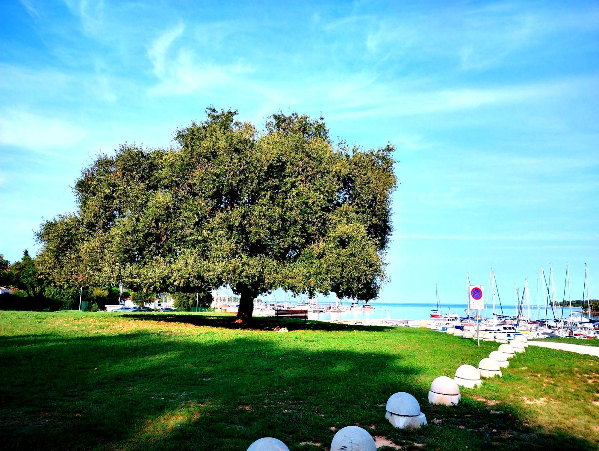Premium Apartment Eden Porec Exterior photo